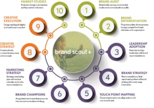 brand scout+