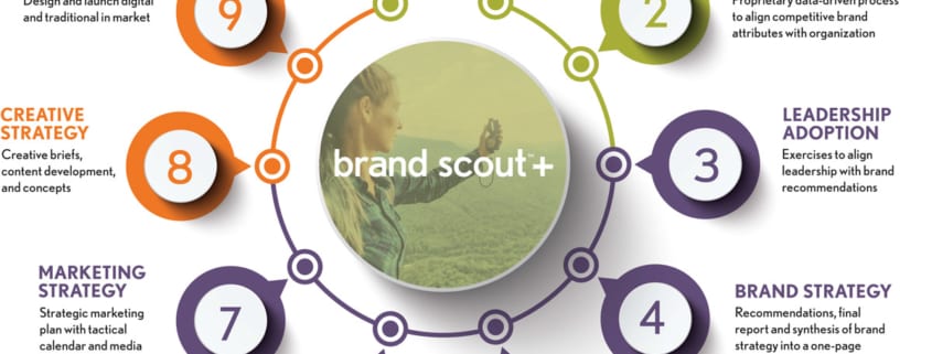 brand scout+